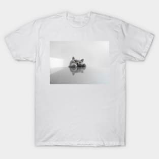 Paws T-Shirt